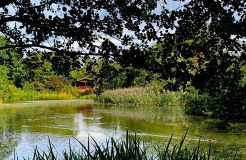 Laura's Lodge Hot Tub Log Cabin, Felmoor Park, Morpeth, Northumberland - Photo 39