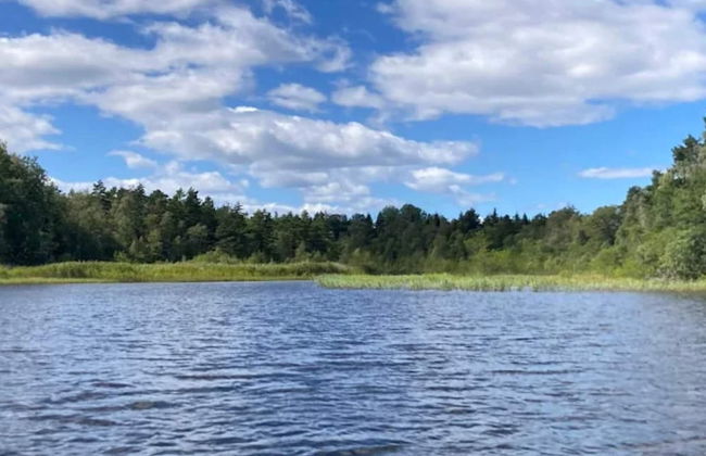 4 Person Holiday Home in Granna-by Traum - Photo 41