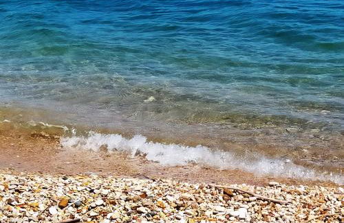 stella marina - Foto 22