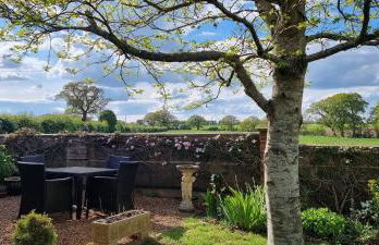 Begonia Cottage - Foto 40