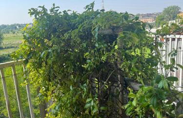 Sky Garden Stay -Terrazza & Private Garage -MM3 Brenta Fondazione Prada Porta Romana - Foto 57