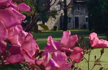 Agriturismo Beria de Carvalho de Puppi - Foto 2