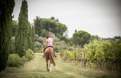 Salvadonica - Borgo del Chianti - Foto 67