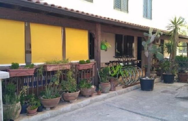 Gecko's House - Foto 1