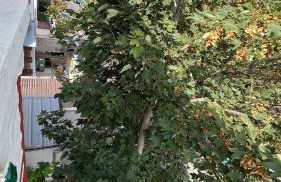 Beautiful master villa - Foto 26