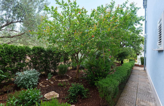 Apartmani Ivana - Foto 24