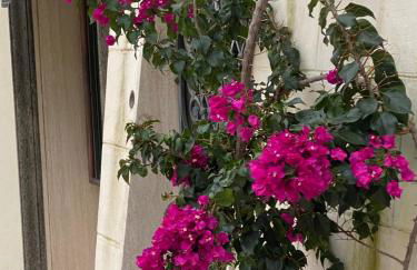 Circeo Mon Amour - Foto 32