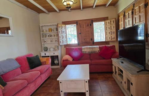 El Recodo del Tajo - Photo 7