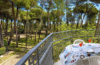 I Velieri - Photo 3