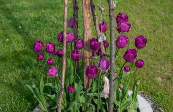 Moderne, gemütliche DG-Wohnung in ruhiger Lage - Foto 33