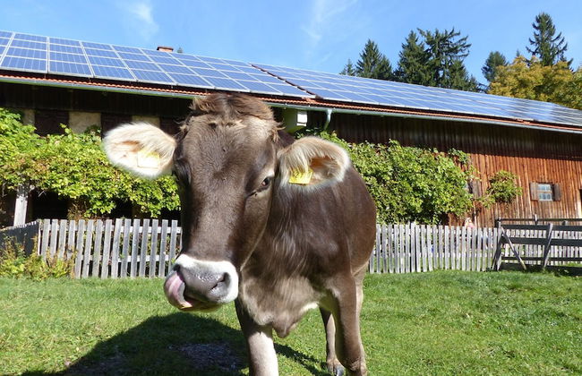 Spacious, Inviting Apartment Near Fussen in the Allgau Region in Bavaria - Foto 12