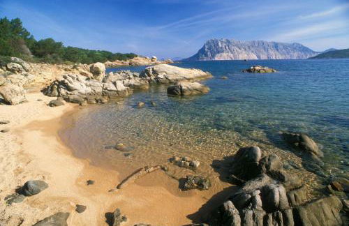 Appartamento delle Rose - Foto 24