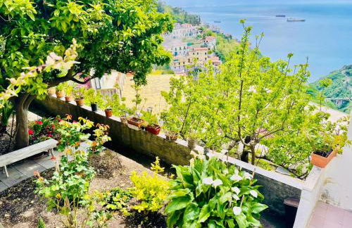 Borgo Virginia - Sea View in Amalfi Coast - Foto 32