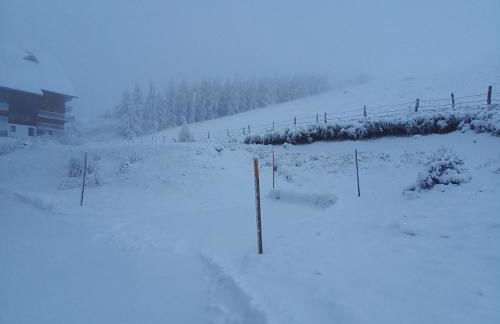 T2 confortable - Piscine chauffée - Super Besse - Photo 22