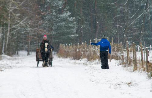Kolorowe Wzgórze agroturystyka i konie - Foto 21