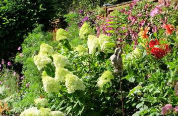 Gästehaus Biedermann - Photo 27