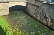 Z1 Apartment - Zentral mit Parkplatz am Objekt - Foto 17