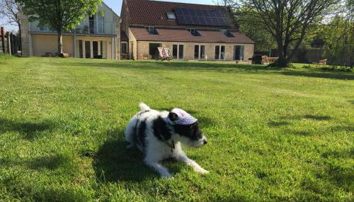 The Winning Post, Bruton - Foto 5, Garden