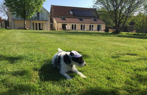 The Final Furlong, Bruton - Foto 7