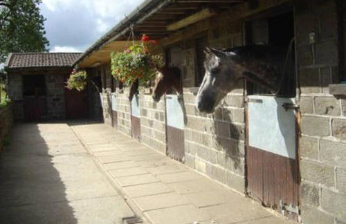 The Barn Cottage - Foto 13