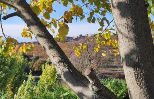 Casa San Rocco - Foto 7