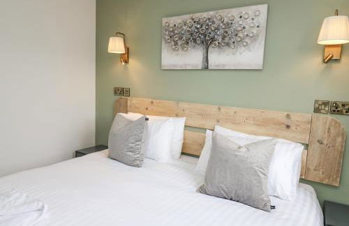 Barcud Coch - Red Kite - Photo 25