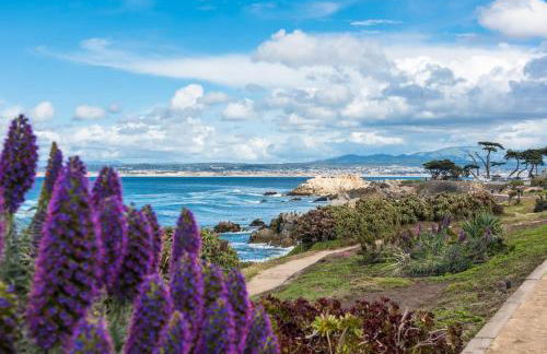 3813 Point Break home - Foto 40