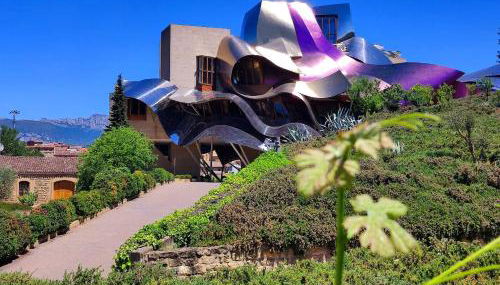 Suite Curry - Photo 2, Other