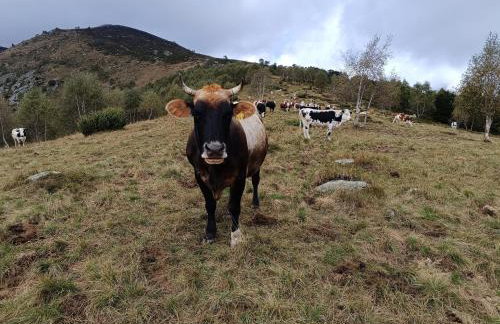 Rifugio Futopia - start here your journey to the discovering of the Alpi Graie - Foto 35