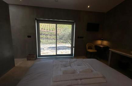 Quinta dos Piscos - Foto 14