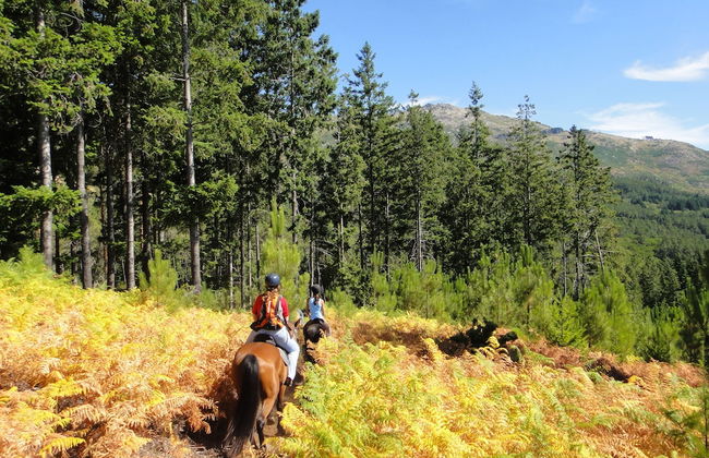 Treehouse Quinta Lamosa - Foto 11