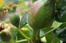 ElleCi Casa Vacanze - Photo 55