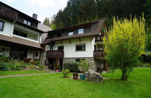 Höllkopf - Stubenhof, Black Forest - Foto 19