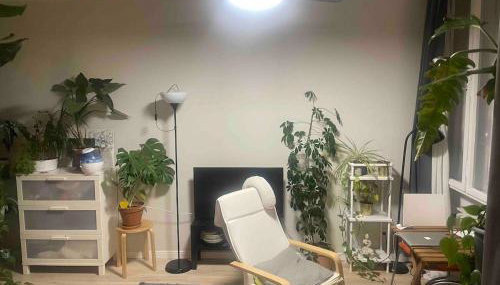 Cozy, green studio with a balcony in Berlin - Foto 3