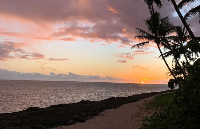 Belle Balise - Photo 19