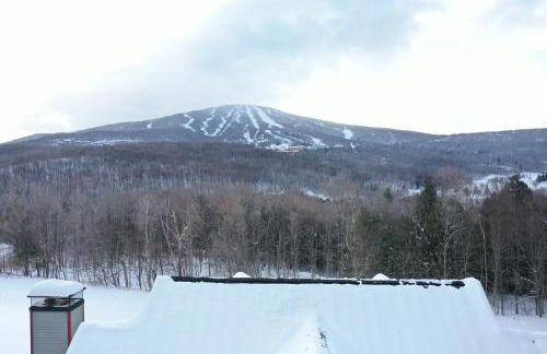 Stratton Mountain Condo with a Hot Tub! Sleeps 12! - Photo 43
