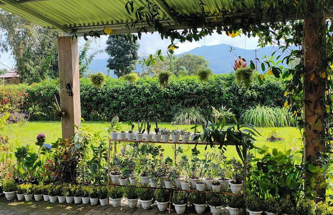 ilasan cottage - Photo 27