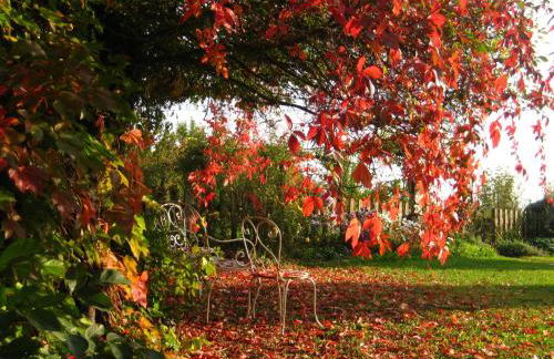 Maso Di Villa Relais di Campagna - Foto 49