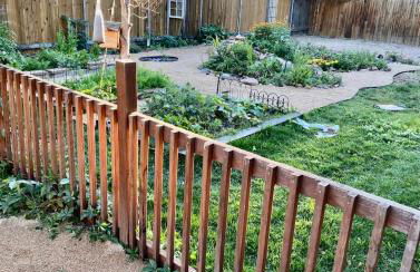 The Historic Blue Bird Cottage - Foto 36