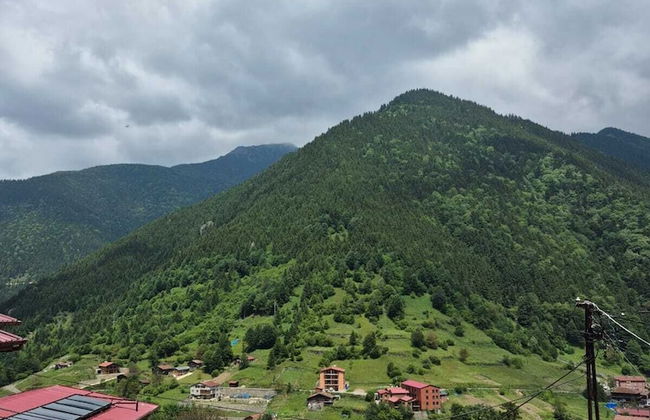 Sefa Apart - Photo 63