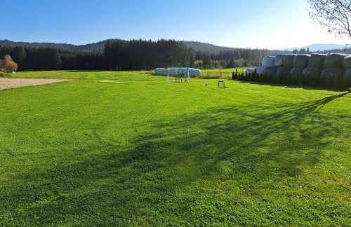 Hans Girgl Hof - Foto 30