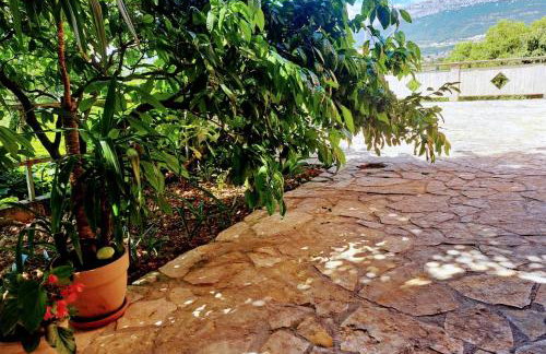 Floral Retreat - Foto 4