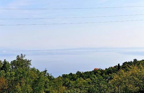 Apartman SÙŠANJ - Foto 44