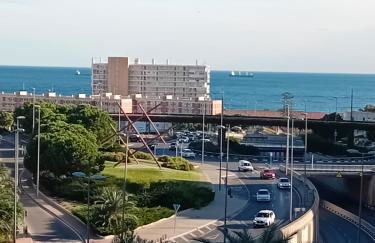 solie alicante - Photo 1