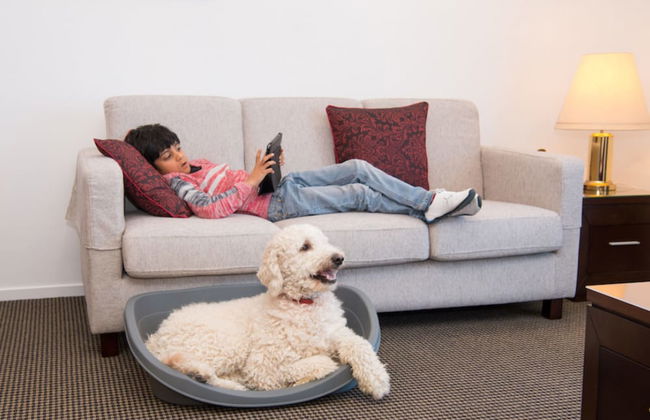 Fino Hotel and Suites - Foto 12