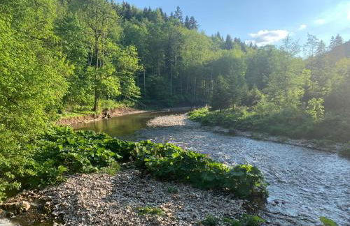 Schwarzwaldmarie Ferienwohnung - Foto 27