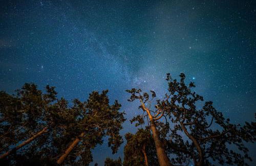 Amberwood Lodge - Photo 28