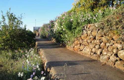 Casa Naranjo - Foto 9