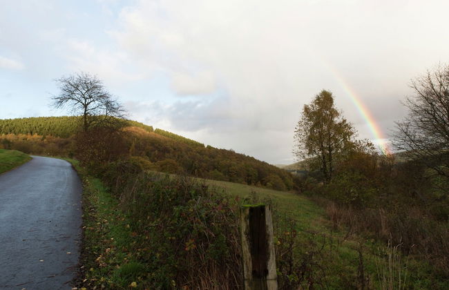 Apartment in Kirchhundem in the Middle of Nature - Photo 15