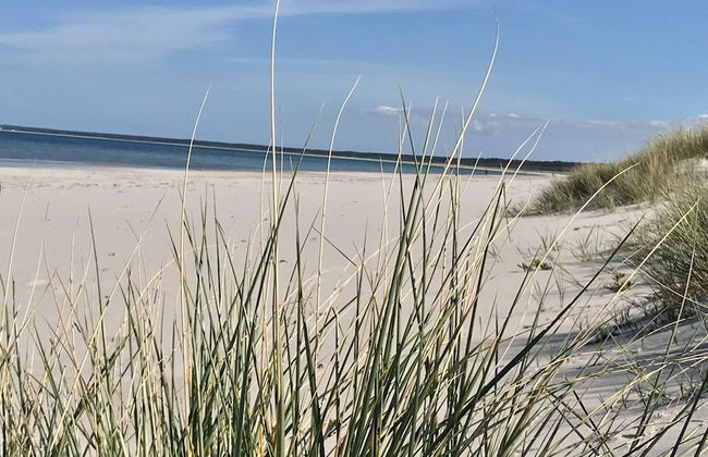 Relaxed Countryside Comfort - Foto 29